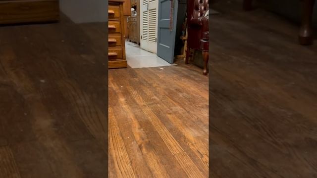 Утка домашняя смотреть онлайн