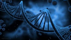 Самое Мощное Омоложение Организма После 50 лет ☀️ Матрица Гаряева для Замедления Старения