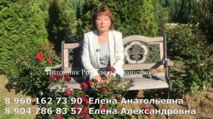 СРОЧНЫЙ ВЫПУСК. О питомнике Роз Елены Иващенко