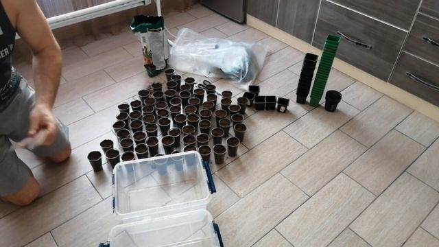 ЭУСТОМА 2021. Посадочный сезон открыт . смотреть онлайн