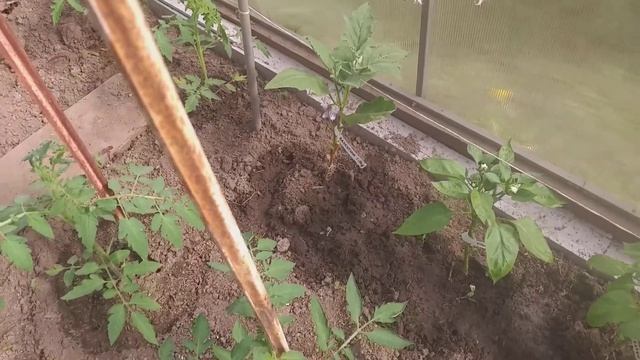 Обзор посадок в городе смотреть онлайн