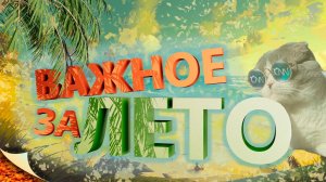 Котоновости - лучшее за лето «Смешные коты»