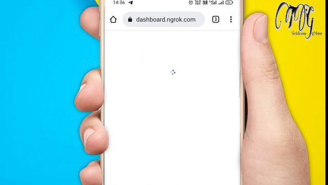Ngrok Errors Solution | Ngrok bad address problem | Ngrok error 105 etc. смотреть онлайн