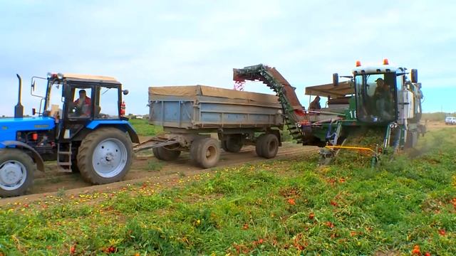 Возвращение настоящей томатной пасты в Россию! смотреть онлайн