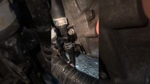 Где найти номер двигателя хендай соната SE