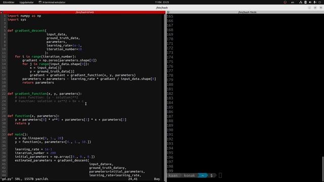 COMP0088 How to implement Gradient Descent solver algorithm using Numpy and Python? смотреть онлайн