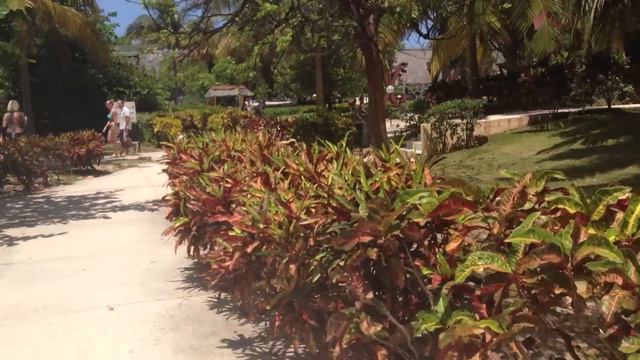 Mercure Playa de Oro 4*, Варадеро, Куба смотреть онлайн