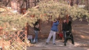 ДОМ-2 Город любви 1424 день Вечерний эфир (03.04.2008)