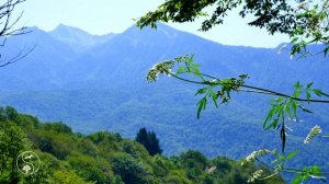 Красивая Природа под Музыку для Релаксации | Красивые Виды на Горы | Горные Пейзажи