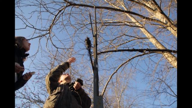 Кросс "Злосчастный таксофон" смотреть онлайн