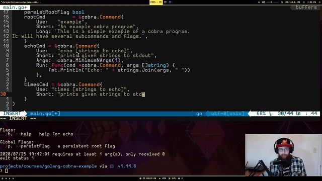 Take Command of Go with Cobra, Go / Golang Cobra Tutorial смотреть онлайн
