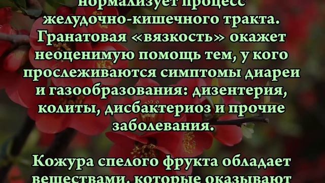 ГРАНАТ - УДИВИТЕЛЬНАЯ ПОЛЬЗА ДЛЯ ЗДОРОВЬЯ! смотреть онлайн
