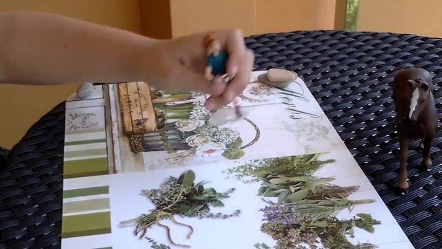 Новая лошадь и человек!!! Ура😃 смотреть онлайн