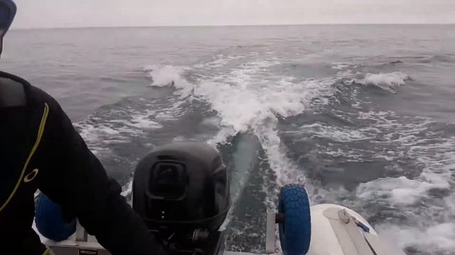 тест гидрокрыла SE Sport 200