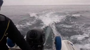 тест гидрокрыла SE Sport 200