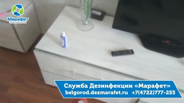 Как вывести тараканов в Белгороде - ДезСлужба Марафет смотреть онлайн