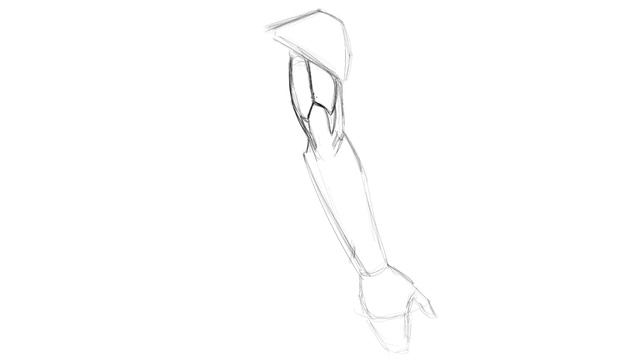 Lesson 03. Drawing the back of the Arm Anatomy смотреть онлайн