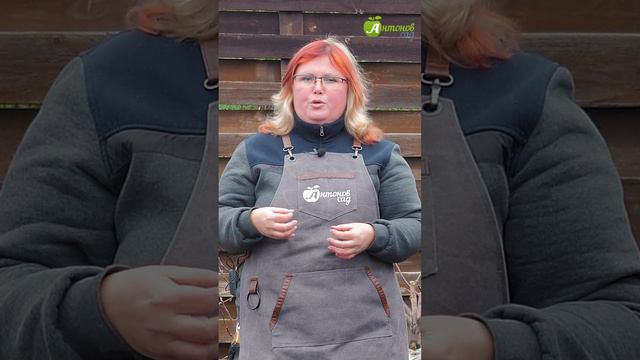 Почему не цветет клубника смотреть онлайн