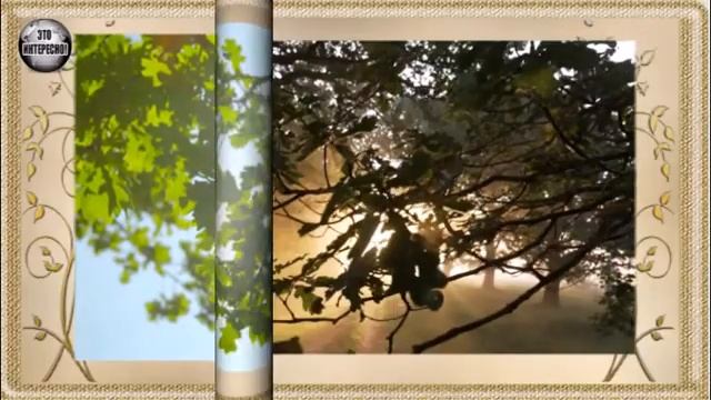 НАРОДНЫЕ ПРИМЕТЫ НА 3 ИЮЛЯ: ЧТО НЕЛЬЗЯ ТРОГАТЬ В ЭТОТ ДЕНЬ #ЭтоИнтересно смотреть онлайн