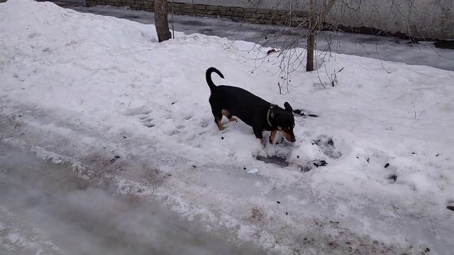 Особый Режим или Полосатый Рейс. Крутые Кросовки По ПАЦАНЯЧИ ⚔️✌️ смотреть онлайн