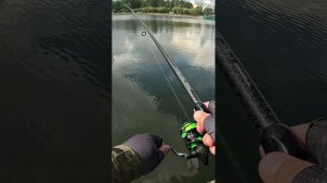 ОКУНЬ #дропшот  | Вспоминаю | #shorts, #микроджиг #рыбалка, #fishing