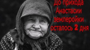 Анастасия Земляройка