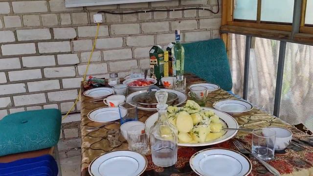 Наконец тотвнуки уехали. Гости на даче. Наши посиделки и баня.