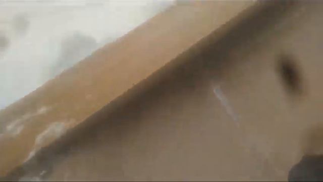 Видео 1 век до нашей эры (Обзор нашей берлоги) 06.02.2022 смотреть онлайн