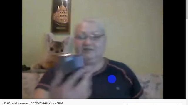 Как и где посмотреть сообщения, попавшие в спам смотреть онлайн