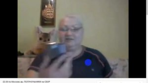 Как и где посмотреть сообщения, попавшие в спам