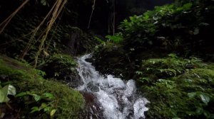 Роза Аманова - Ата эне кадырын Ким билет