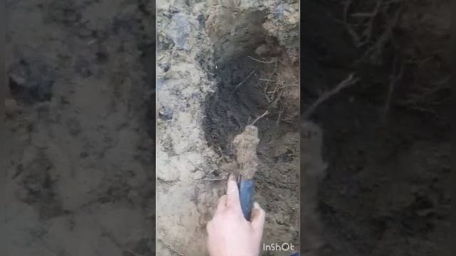 приехали за металлом, а нашли снаряды с В.О. и вызвали полицию. смотреть онлайн