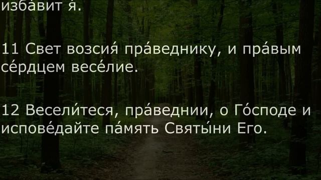 ЕСЛИ НА ВАС ЗЛО ТВОРЯТ ИЛИ КОЛДУЮТ. 96 ПСАЛОМ смотреть онлайн