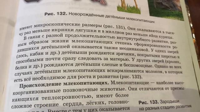 Биология/7 кл/Е.Т.Тихонова/ Размножение, Развитие и происхождение млекопитающих/10.05.22 смотреть онлайн