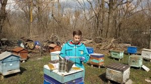Устанавливаю китайские пластины от клеща Manhao | Весенняя обработка пчёл от клеща Варроа