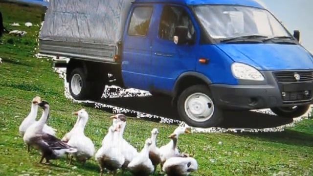 ! ### +7-909-588-48-68 перевозки газель фермер смотреть онлайн
