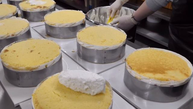 Amazing Skills! Korean Awesome Cake Collection / 줄서서 먹는 다양한 케이크 몰아보기!