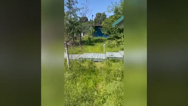 Отдых в Подмосковье / Московский Амстердам/ Путешествие ?/ Вася в пути ? смотреть онлайн