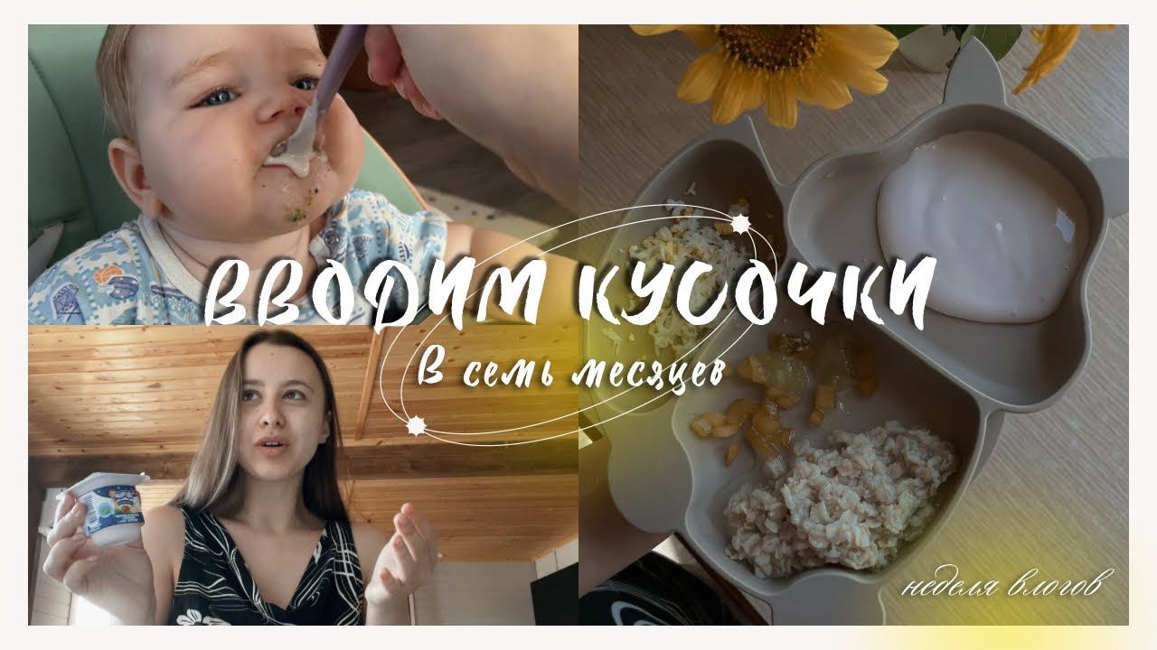 Когда вводить кусочки в прикорм? / Меню ребёнка в 7-8 месяцев / какое детское питание я даю? смотреть онлайн