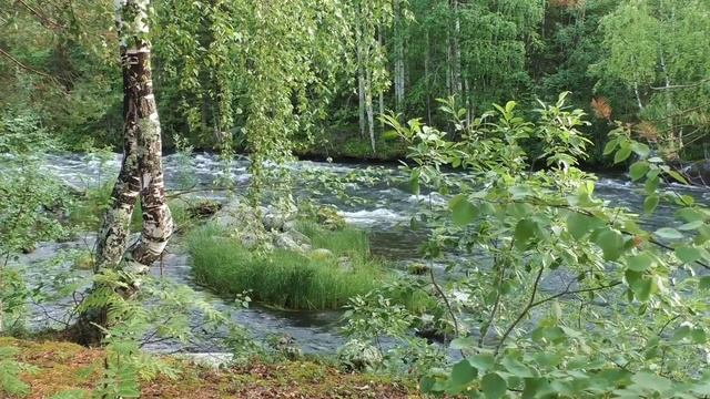 Стихотворение Сергей Есенин "С добрым утром". Аудиостихи смотреть онлайн