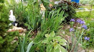 Выходные 24.06.2018(2)