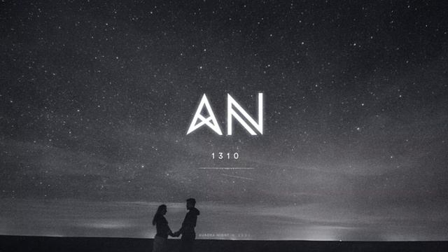 Aurora Night - 1310
