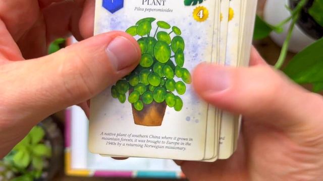 The Prettiest Game in My Collection? Unboxing Verdant! ? смотреть онлайн