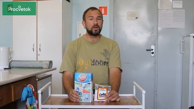 СУПЕР СПОСОБ отравить огород Сода @Procvetok
