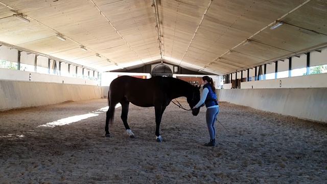 задание 3.12.2020 смотреть онлайн