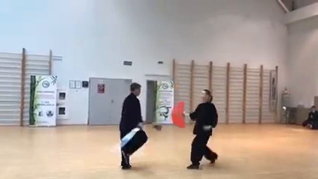 Дуйлянь. День тайцзи. Минск 2017 смотреть онлайн