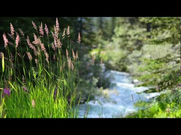 Perfect Self-Control (Subtitles) | 3 Reasons To Develop Self-Control