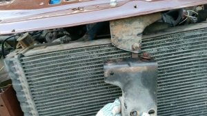 Новая жизнь Соболя.Меняем морду.