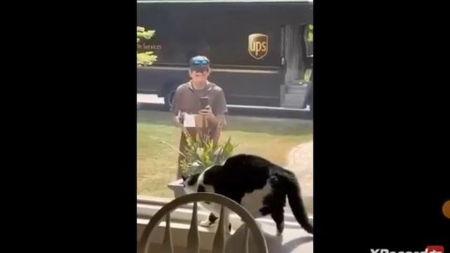 новый видос я очень старалась всю ночь монтировала *автор Братик и сестра* смотреть онлайн