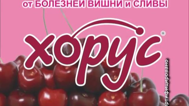 Хорус -- новое средство от болезней вишни и сливы! смотреть онлайн